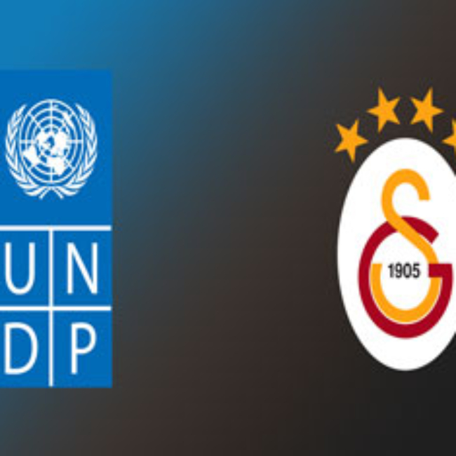 undp2