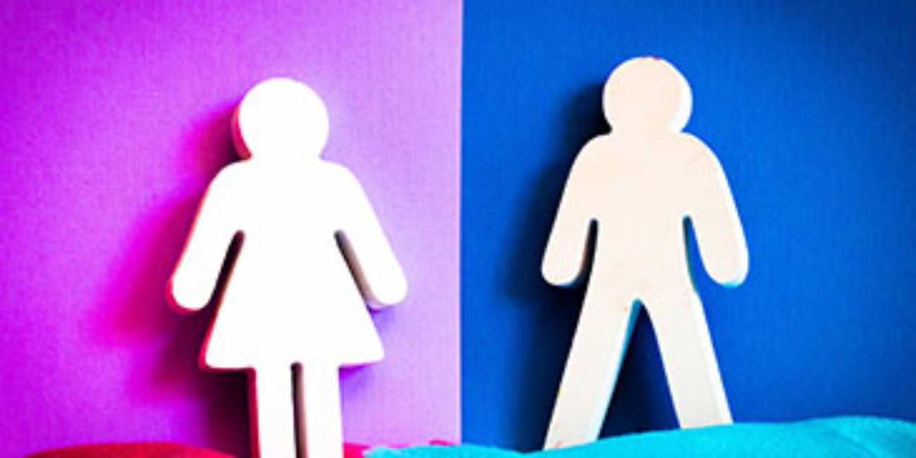 Brand-New Gender Sensitive Labor Market Assessment by INGEV
