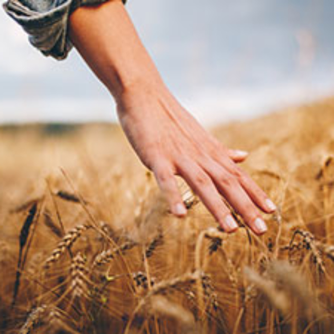 ActHuman III’ün Odağı “Güçlü Kooperatifçilik”