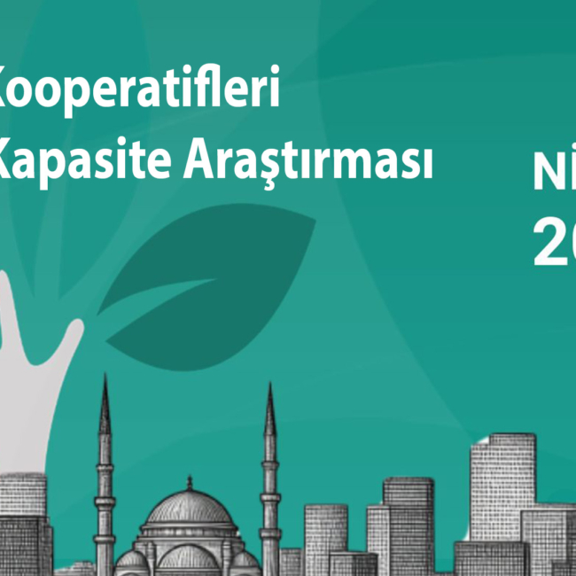 Kadın Kooperatifleri Kapasite Araştırması